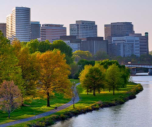 Team