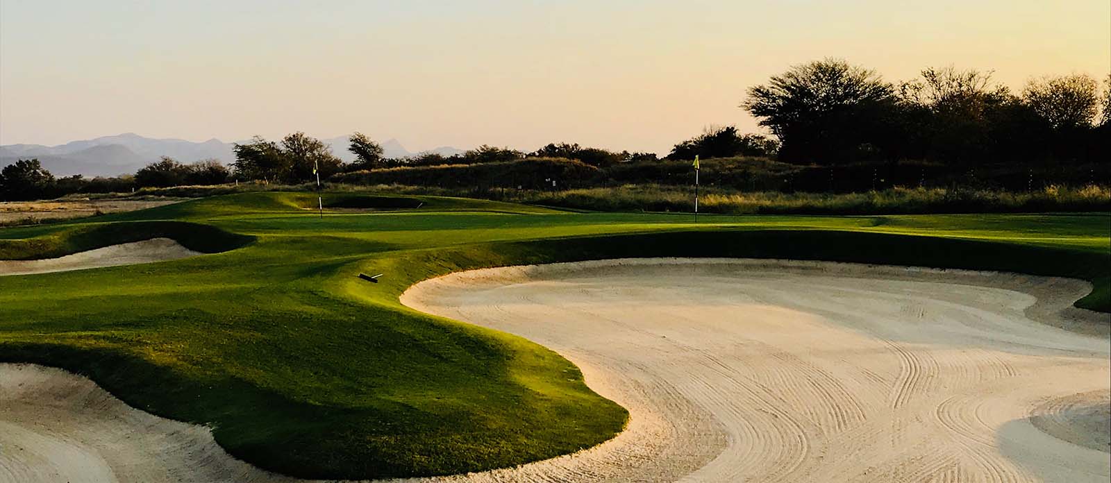 Banner - Golfing