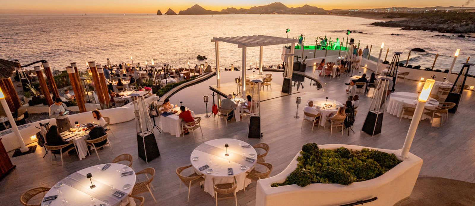 Banner - Dining and Nightlife